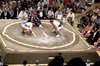 DSCN2316