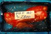 DSCN2276