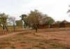 burkina - 116