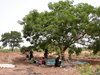 burkina - 068