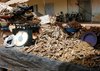 burkina - 151